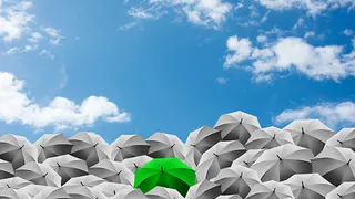 The role of fixed income alternatives