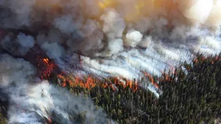 California wildfires may no longer be ‘secondary peril’