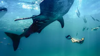 Diving below the surface