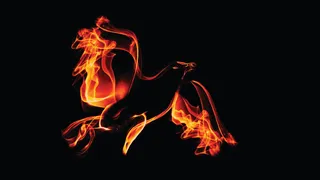 Mutuals: a phoenix from the flames?