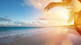 Mid-year renewals will reflect Florida’s recovery and Bermuda’s pivotal role