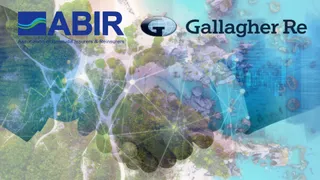 Bermuda re/insurers add reinsurance brokerage giant to association