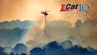  Insurers brace for C$1.3bn hit from 2024 Jasper wildfire
