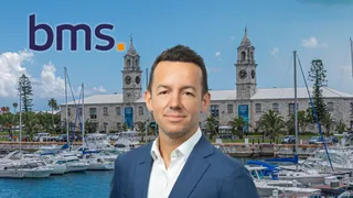 BMS creates new role for Bermuda director to develop product lines