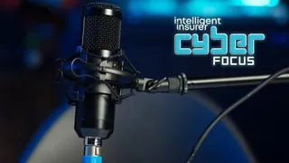 The silver bullet view of big data is just naive thinking, say cyber experts