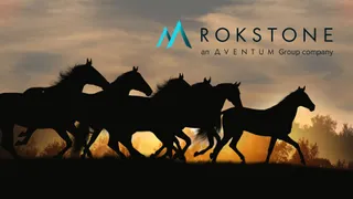 Rokstone pulls ahead with equine death cover