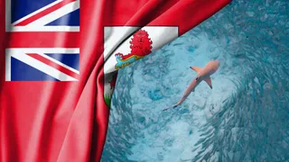 Long-term reinsurance momentum set to thrive in Bermuda
