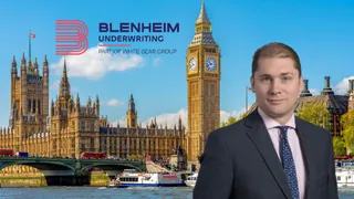 MS Amlin casualty veteran tapped by Blenheim