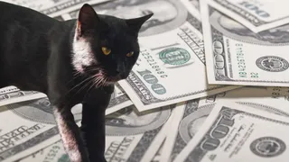 Cat bond issuance set to bust $20bn ceiling by year-end