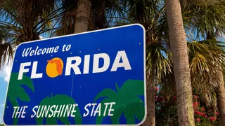 Florida adds two more P&C insurers to revived homeowner market