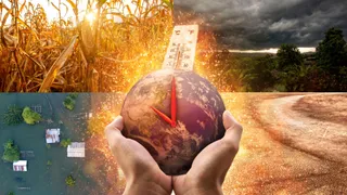 Businesses already battered by climate shocks but blind to future risks