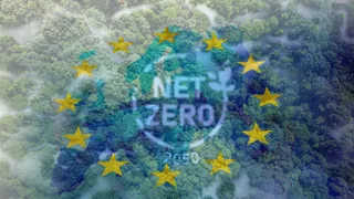Insurance gaps threaten Europe's net-zero progress: Ferma