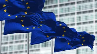 EU admits to red tape; will simplify to reel in clients: Hielkema