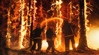 Alleged arson! US arrests man blamed for LA’s Palisades wildfire