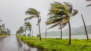 Weather disasters increasingly eroding prosperity in major economies, Munich Re warns