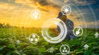 MGA unveils first insurance product to support biodiversity net gain