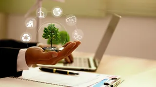 Scor and Axa pact over Lloyd’s consortium for ecosystem restoration