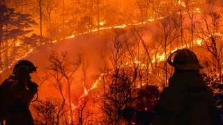 El Niño set to emerge by September, wreaking weather havoc