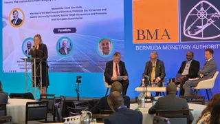 Protection gap remains stubbornly wide: BMA panel debates workable solutions