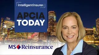 Softening property rates mask mounting weather exposure: MS Re 